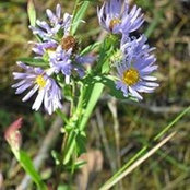 Barbara Nickle's photo