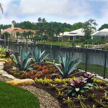 Tropical Texture on the Jupiter Waterfront