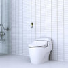 Bliss Premier Bidet Toilet Seat, White