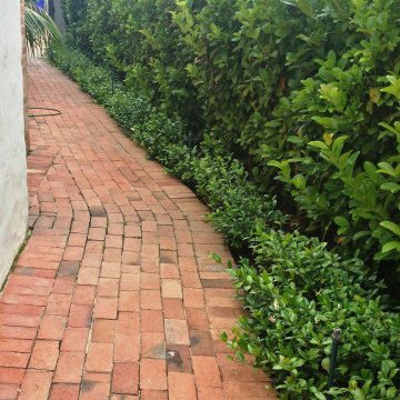 secret gardens
