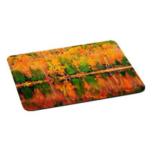 Autumn Decor