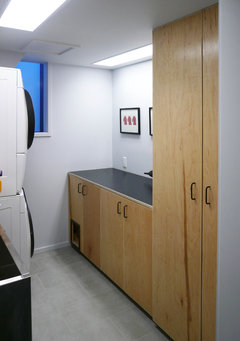 litter box in basement