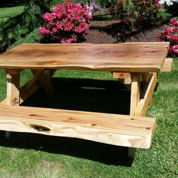 My Projects