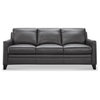 Leather Lusso Pratt Contemporary Genuine Leather & Hardwood Sofa in Charcoal
