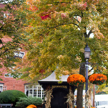 Fall Styles