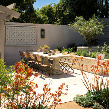 Dining area next to Olive tree