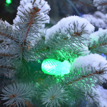 Christmas Decor by Timberline