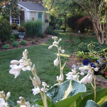 Designer's garden