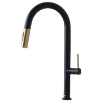 STYLISH Single Handle Pull Down Kitchen Faucet Dual Mode in Black-Brushed Gold