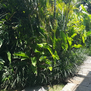 Hawa Sawah, Bali - Tropical Landscape Design