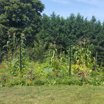 Gardens