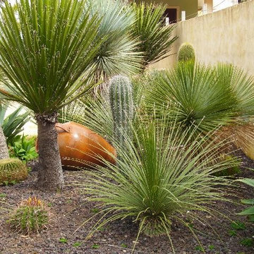 Giardini Mediterranei 2