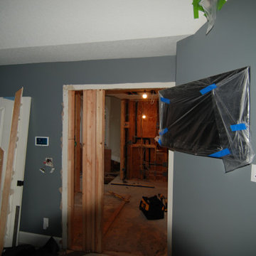 Master bathrooom remodel