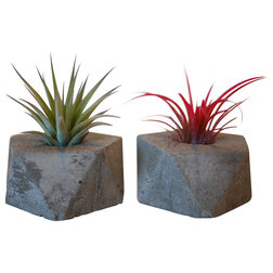 Modern Indoor Pots And Planters Icosahedron Concrete Planters, Set of 2