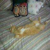 Donna Synek's photo