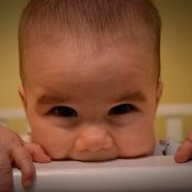 Dan Olson's photo