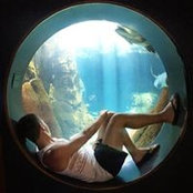 Blair Hudson's photo