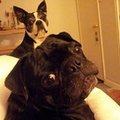 Foto von Mary Nicholson