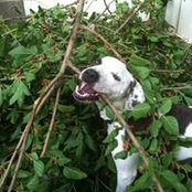 Jason Simcox's photo