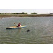 Melissa Blackburn's photo
