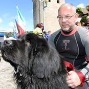 Dominique Pecoud's photo