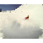 Sarah Ellefson's photo