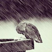 Photo de Chen Mun