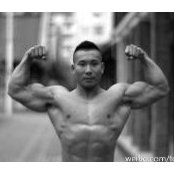 David Wangs foto