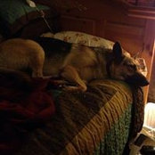 Patty Sansing's photo