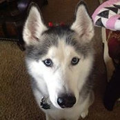 Debbie Nordman's photo