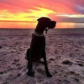 Melissa Reiss's photo