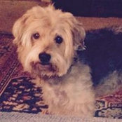 Marlene Kutac's photo