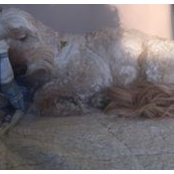Kristen Lofgren's photo