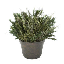 Artificial Plants