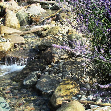 Water Feature - Pond