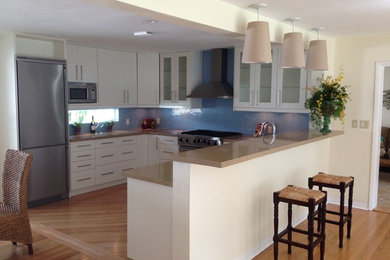 Trendy kitchen photo in Tampa