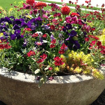 Cold Hardy Spring Containers