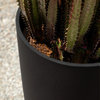 Veradek Pure Series Selena 28" Planter, Black, 28 in. - Two Pack