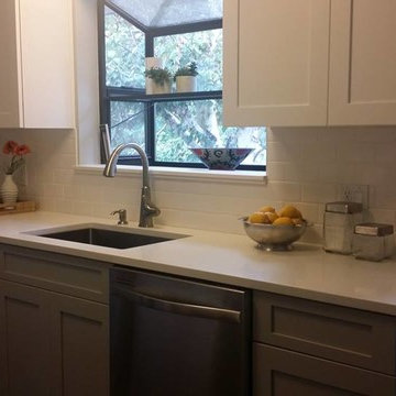Sol & Darcy's New Kitchen
