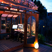 My Backyard