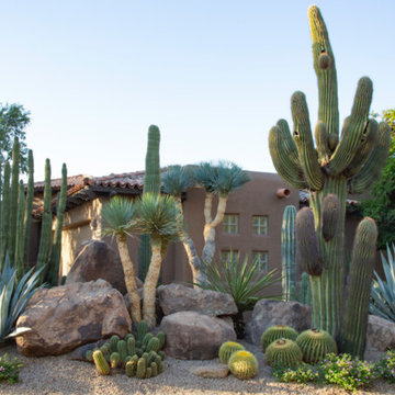Desert Landscapes