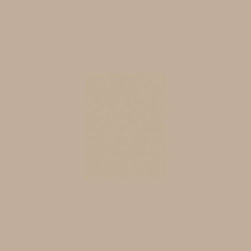 Wattyl I.D Advanced Low Sheen in Moccacino - Paint
