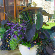 Planters
