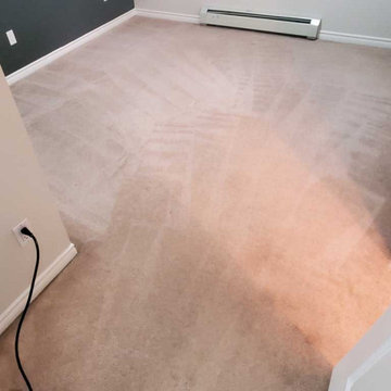 Extreme Pet Urine Treatment and Spot Removal Located in Surrey BC Canada