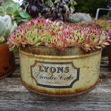 hugh_pile's Ideas