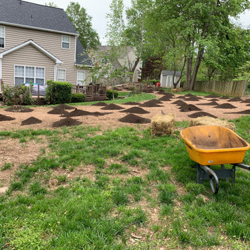 Lawn renovation