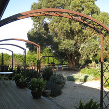 Arbor