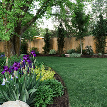 Landscape Ideas