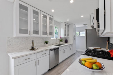 Example of a minimalist kitchen design in Los Angeles