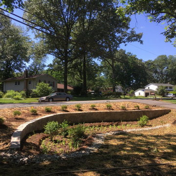 Wild At Heart - Accotink Creek Watershed6/2019: VCAP approved rain garden and dr